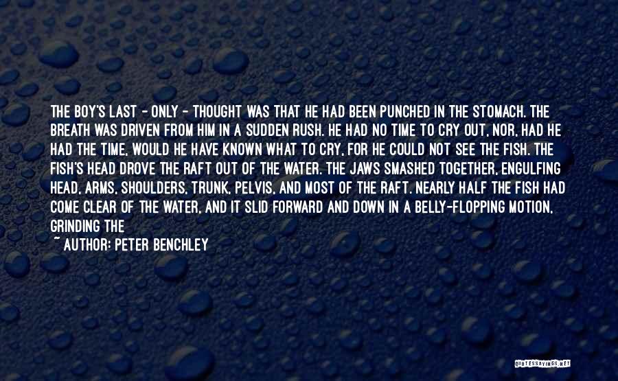 Peter Benchley Quotes: The Boy's Last - Only - Thought Was That He Had Been Punched In The Stomach. The Breath Was Driven