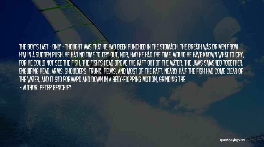 Peter Benchley Quotes: The Boy's Last - Only - Thought Was That He Had Been Punched In The Stomach. The Breath Was Driven