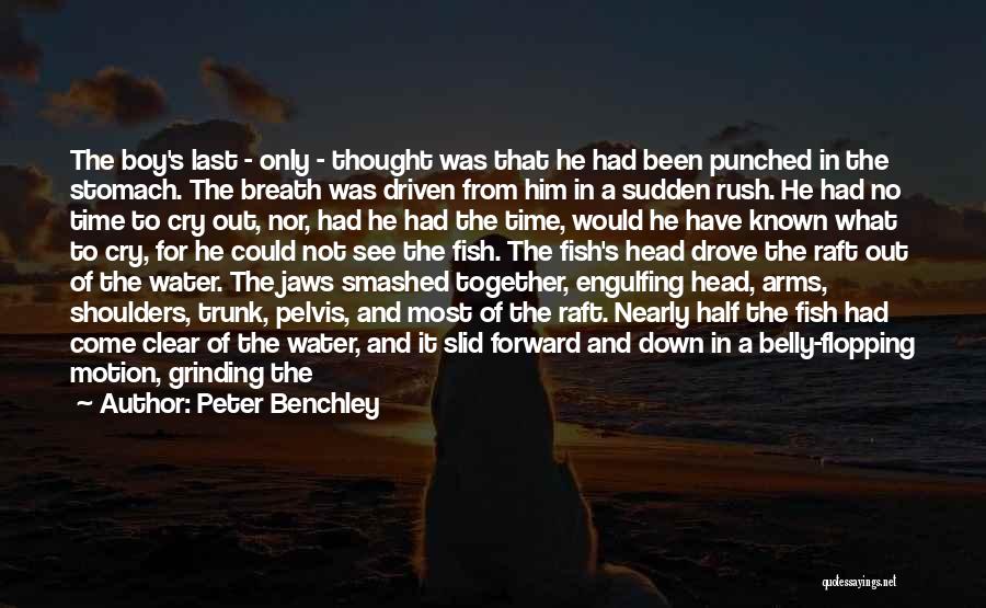 Peter Benchley Quotes: The Boy's Last - Only - Thought Was That He Had Been Punched In The Stomach. The Breath Was Driven