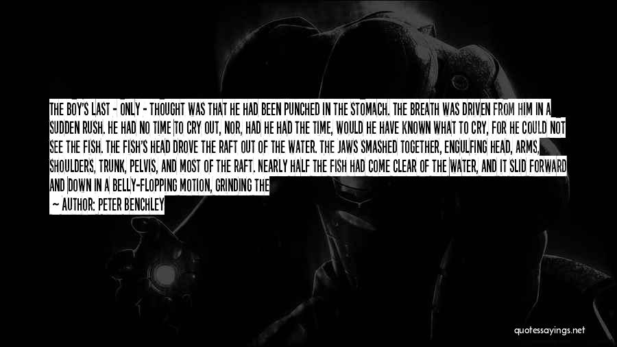 Peter Benchley Quotes: The Boy's Last - Only - Thought Was That He Had Been Punched In The Stomach. The Breath Was Driven