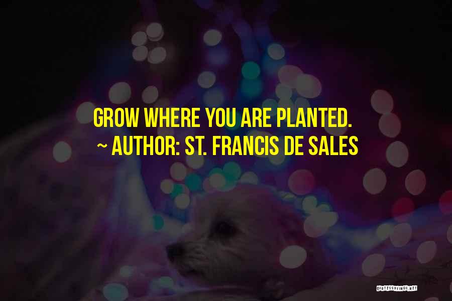 St. Francis De Sales Quotes: Grow Where You Are Planted.