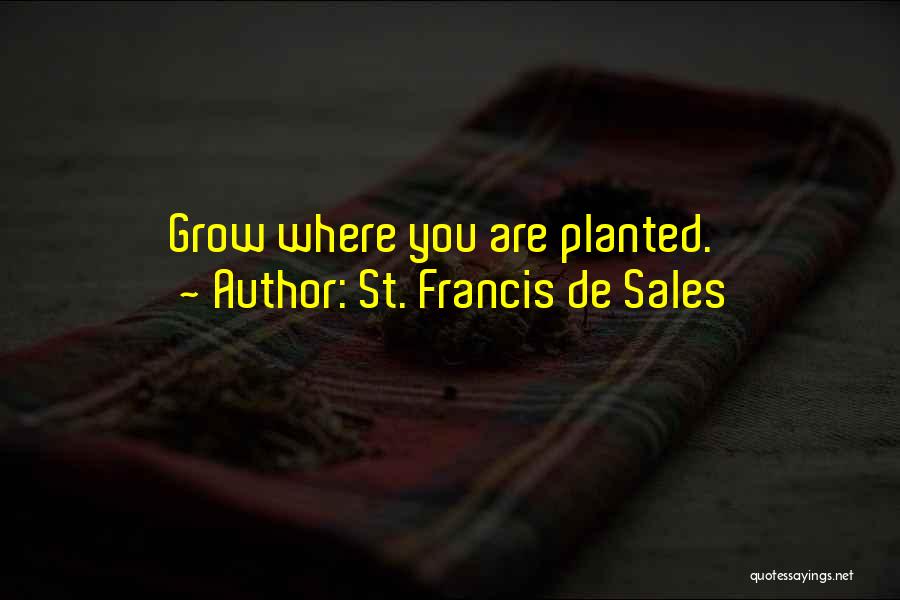 St. Francis De Sales Quotes: Grow Where You Are Planted.