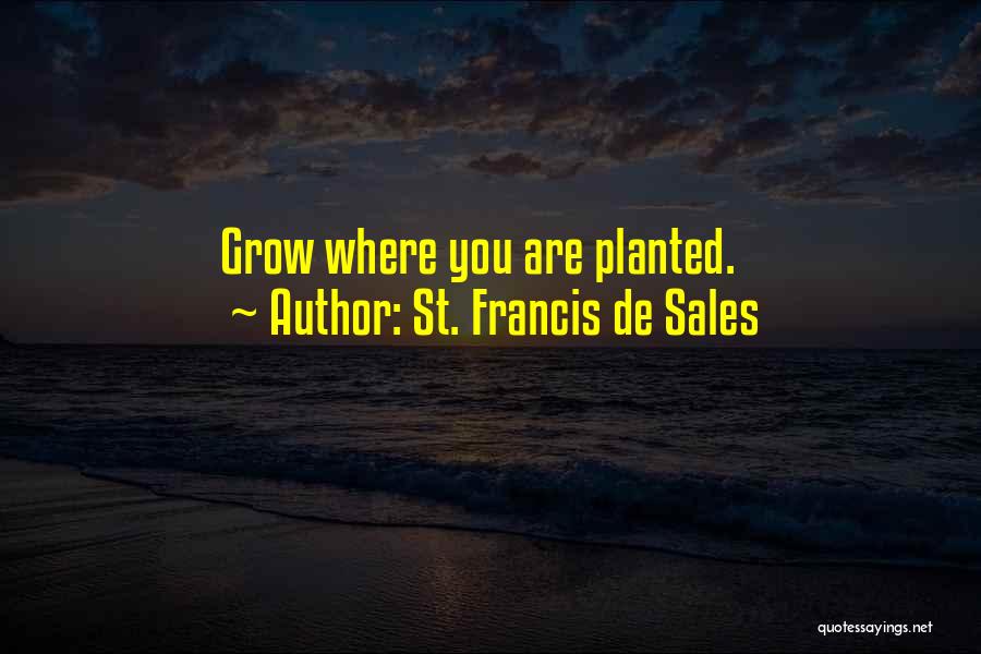 St. Francis De Sales Quotes: Grow Where You Are Planted.