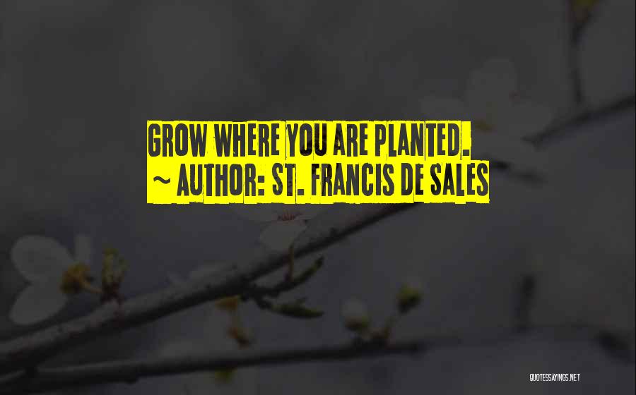 St. Francis De Sales Quotes: Grow Where You Are Planted.