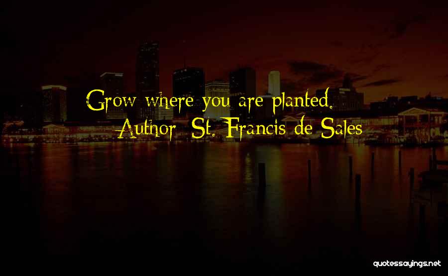 St. Francis De Sales Quotes: Grow Where You Are Planted.
