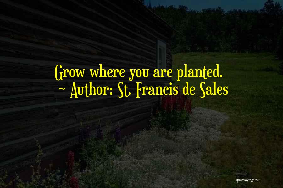 St. Francis De Sales Quotes: Grow Where You Are Planted.