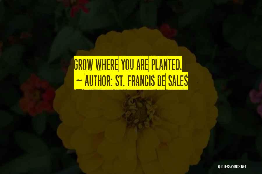 St. Francis De Sales Quotes: Grow Where You Are Planted.