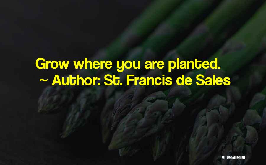 St. Francis De Sales Quotes: Grow Where You Are Planted.