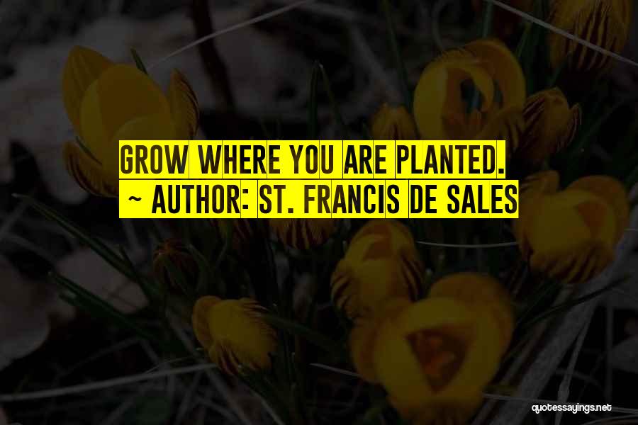 St. Francis De Sales Quotes: Grow Where You Are Planted.