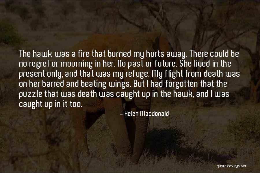 2020 And 2021 Quotes By Helen Macdonald 2020 And 2021 Quotes By Helen Macdonald