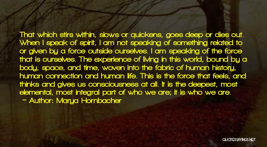 Marya Hornbacher Quotes: That Which Stirs Within, Slows Or Quickens, Goes Deep Or Dies Out. When I Speak Of Spirit, I Am Not