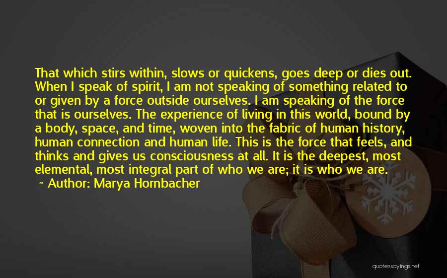 Marya Hornbacher Quotes: That Which Stirs Within, Slows Or Quickens, Goes Deep Or Dies Out. When I Speak Of Spirit, I Am Not