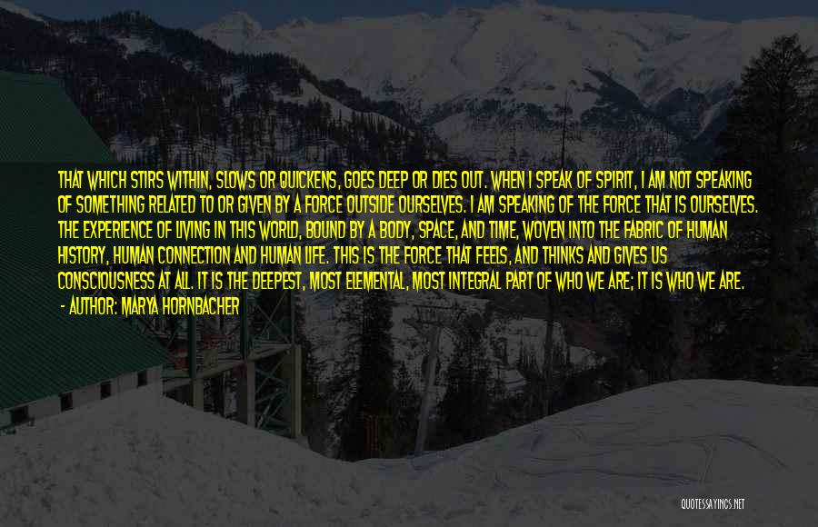 Marya Hornbacher Quotes: That Which Stirs Within, Slows Or Quickens, Goes Deep Or Dies Out. When I Speak Of Spirit, I Am Not