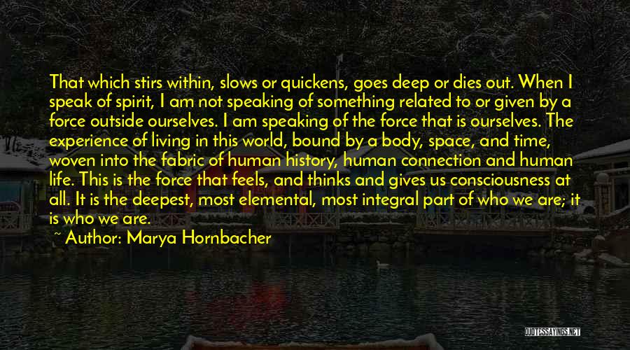 Marya Hornbacher Quotes: That Which Stirs Within, Slows Or Quickens, Goes Deep Or Dies Out. When I Speak Of Spirit, I Am Not