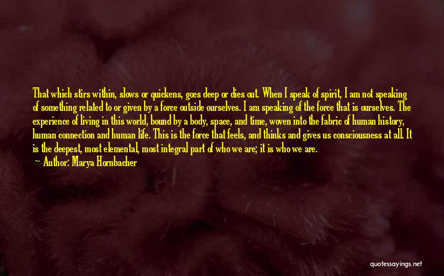 Marya Hornbacher Quotes: That Which Stirs Within, Slows Or Quickens, Goes Deep Or Dies Out. When I Speak Of Spirit, I Am Not