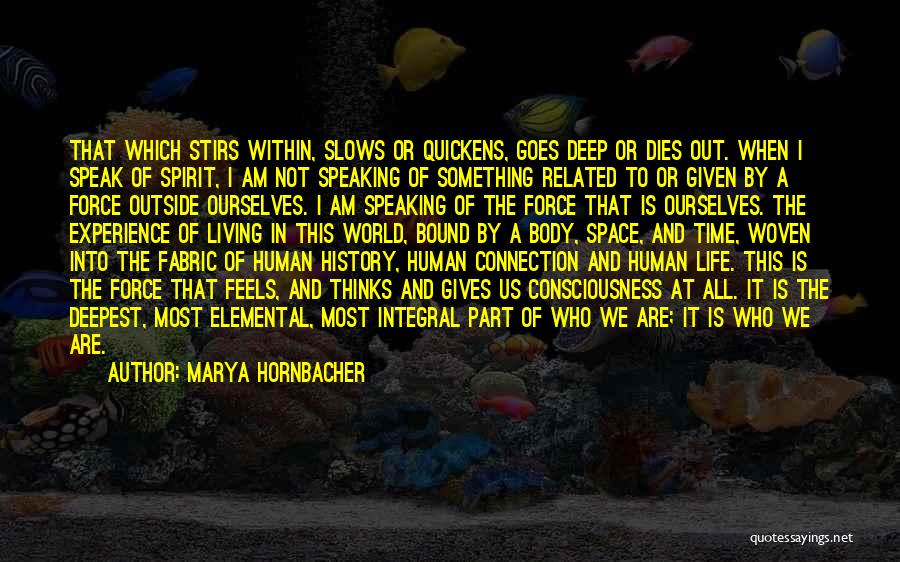 Marya Hornbacher Quotes: That Which Stirs Within, Slows Or Quickens, Goes Deep Or Dies Out. When I Speak Of Spirit, I Am Not