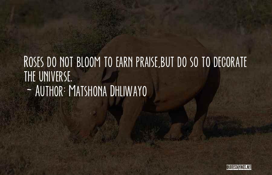 Matshona Dhliwayo Quotes: Roses Do Not Bloom To Earn Praise,but Do So To Decorate The Universe.