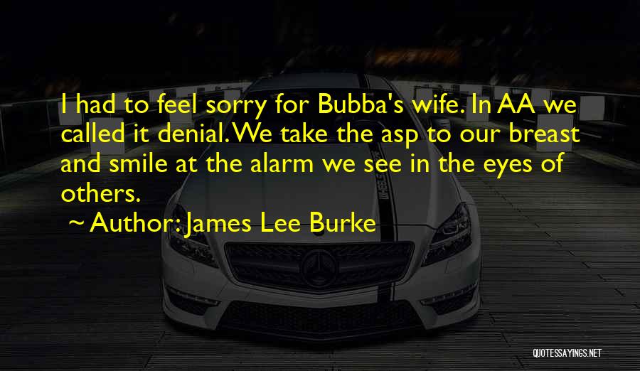 James Lee Burke Quotes: I Had To Feel Sorry For Bubba's Wife. In Aa We Called It Denial. We Take The Asp To Our