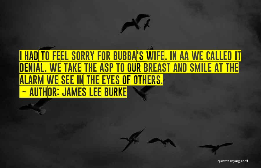 James Lee Burke Quotes: I Had To Feel Sorry For Bubba's Wife. In Aa We Called It Denial. We Take The Asp To Our