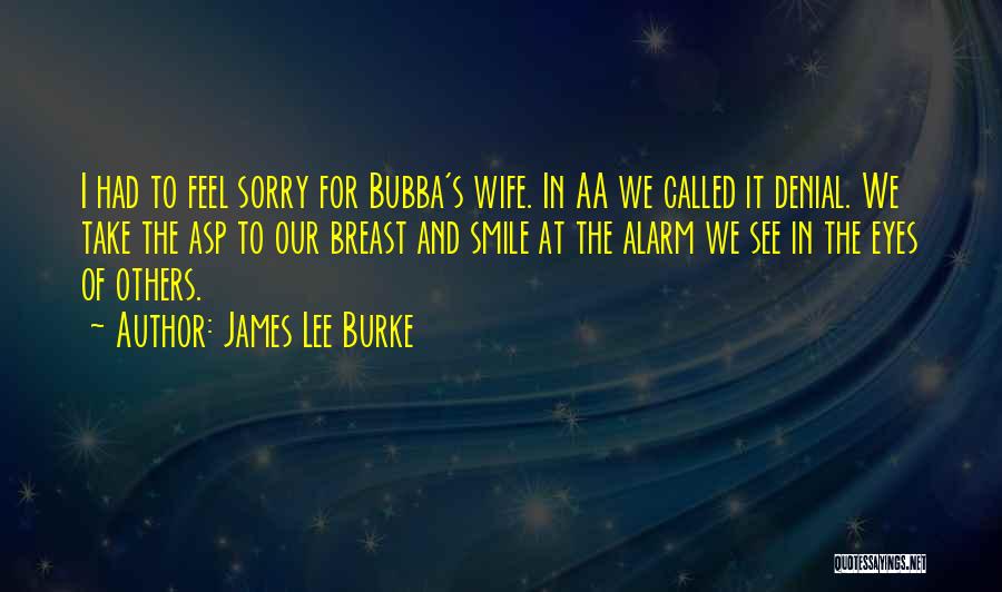 James Lee Burke Quotes: I Had To Feel Sorry For Bubba's Wife. In Aa We Called It Denial. We Take The Asp To Our