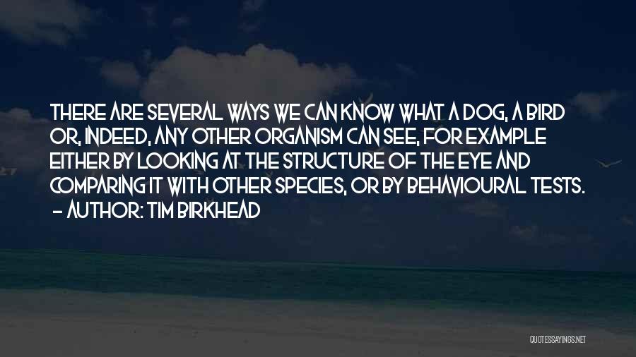 Tim Birkhead Quotes: There Are Several Ways We Can Know What A Dog, A Bird Or, Indeed, Any Other Organism Can See, For