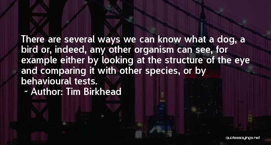 Tim Birkhead Quotes: There Are Several Ways We Can Know What A Dog, A Bird Or, Indeed, Any Other Organism Can See, For