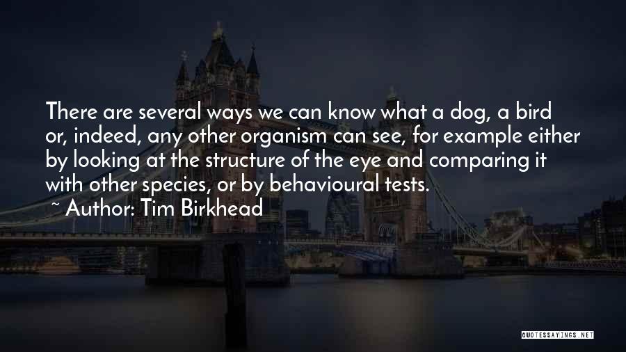 Tim Birkhead Quotes: There Are Several Ways We Can Know What A Dog, A Bird Or, Indeed, Any Other Organism Can See, For