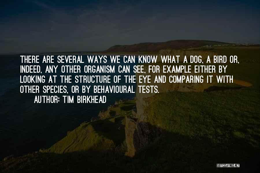 Tim Birkhead Quotes: There Are Several Ways We Can Know What A Dog, A Bird Or, Indeed, Any Other Organism Can See, For