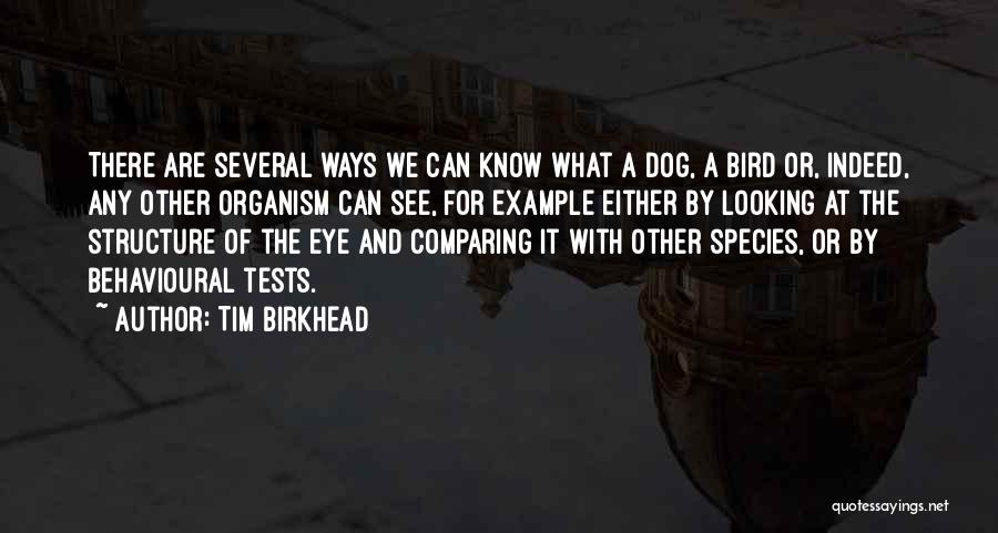 Tim Birkhead Quotes: There Are Several Ways We Can Know What A Dog, A Bird Or, Indeed, Any Other Organism Can See, For