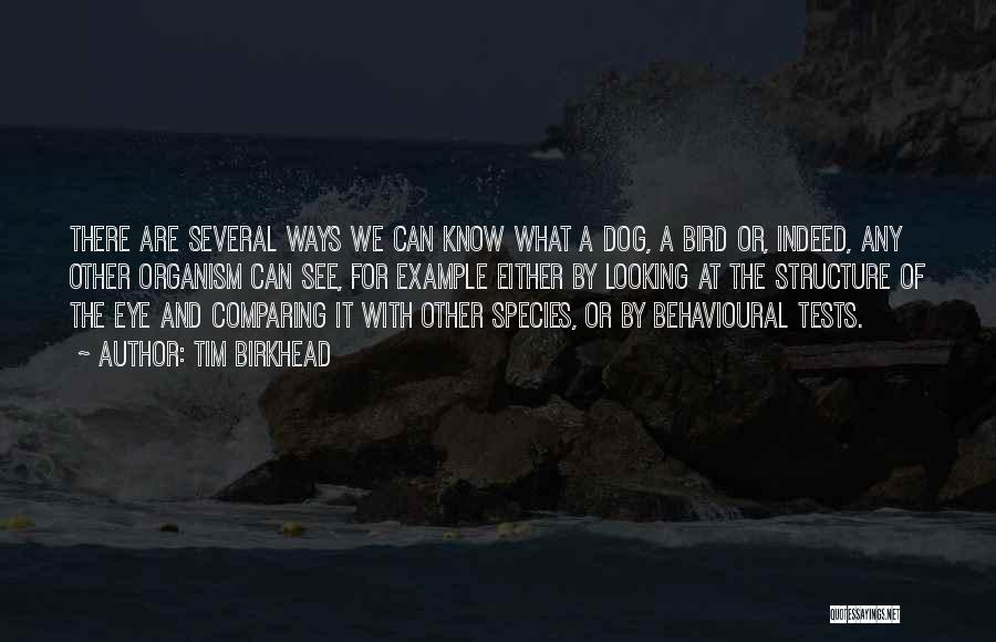 Tim Birkhead Quotes: There Are Several Ways We Can Know What A Dog, A Bird Or, Indeed, Any Other Organism Can See, For