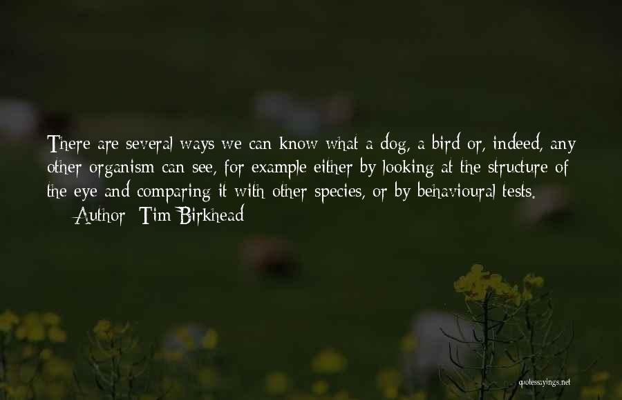 Tim Birkhead Quotes: There Are Several Ways We Can Know What A Dog, A Bird Or, Indeed, Any Other Organism Can See, For