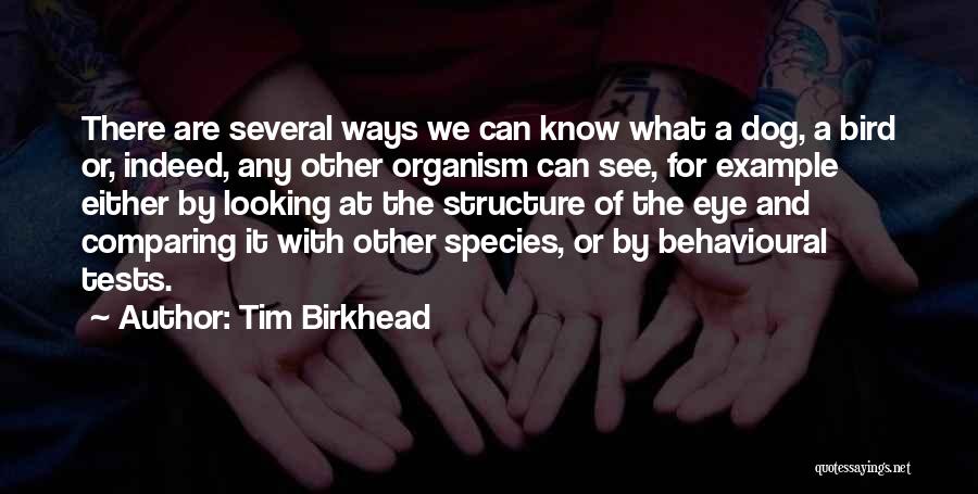 Tim Birkhead Quotes: There Are Several Ways We Can Know What A Dog, A Bird Or, Indeed, Any Other Organism Can See, For