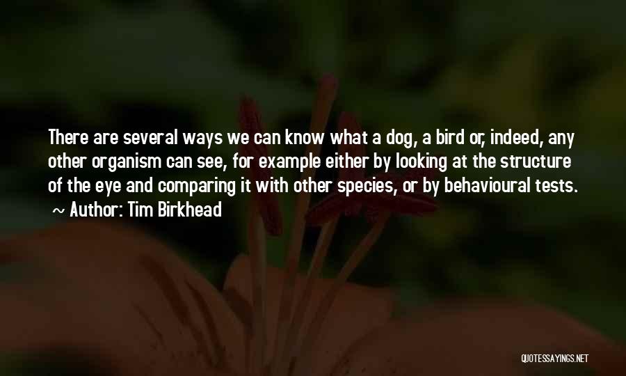 Tim Birkhead Quotes: There Are Several Ways We Can Know What A Dog, A Bird Or, Indeed, Any Other Organism Can See, For