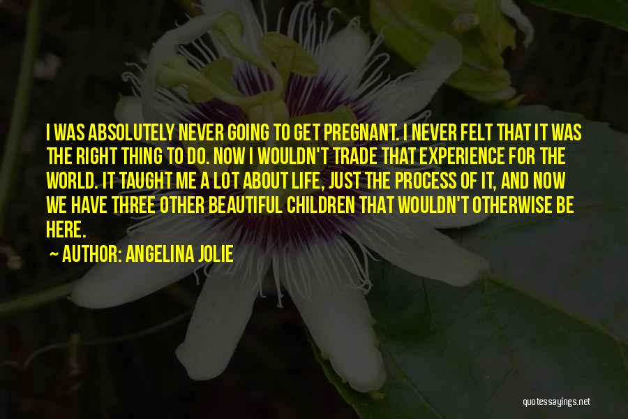 Angelina Jolie Quotes: I Was Absolutely Never Going To Get Pregnant. I Never Felt That It Was The Right Thing To Do. Now