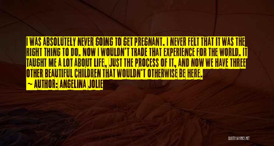 Angelina Jolie Quotes: I Was Absolutely Never Going To Get Pregnant. I Never Felt That It Was The Right Thing To Do. Now