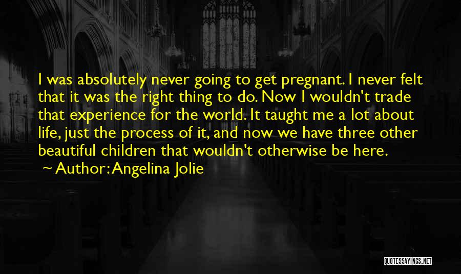 Angelina Jolie Quotes: I Was Absolutely Never Going To Get Pregnant. I Never Felt That It Was The Right Thing To Do. Now