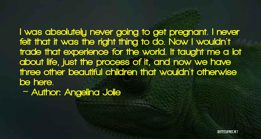 Angelina Jolie Quotes: I Was Absolutely Never Going To Get Pregnant. I Never Felt That It Was The Right Thing To Do. Now