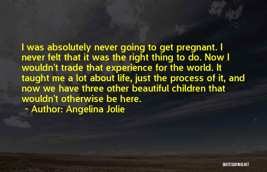 Angelina Jolie Quotes: I Was Absolutely Never Going To Get Pregnant. I Never Felt That It Was The Right Thing To Do. Now