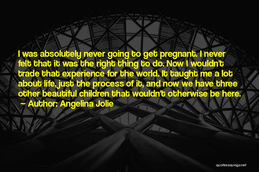 Angelina Jolie Quotes: I Was Absolutely Never Going To Get Pregnant. I Never Felt That It Was The Right Thing To Do. Now