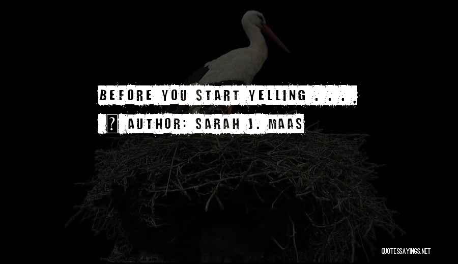 Sarah J. Maas Quotes: Before You Start Yelling . . . ,