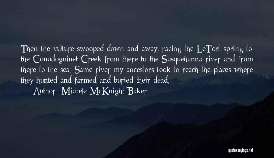 Michele McKnight Baker Quotes: Then The Vulture Swooped Down And Away, Racing The Letort Spring To The Conodoguinet Creek From There To The Susquehanna