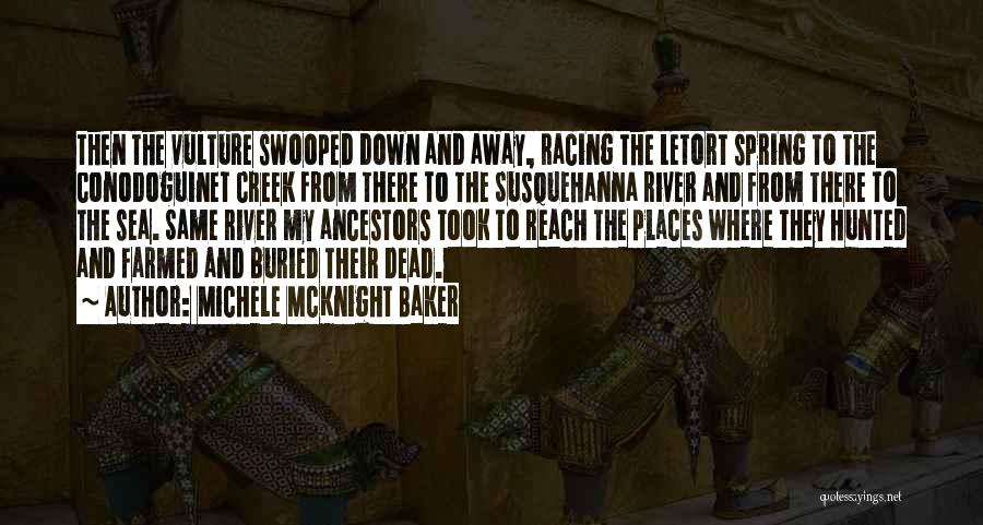 Michele McKnight Baker Quotes: Then The Vulture Swooped Down And Away, Racing The Letort Spring To The Conodoguinet Creek From There To The Susquehanna