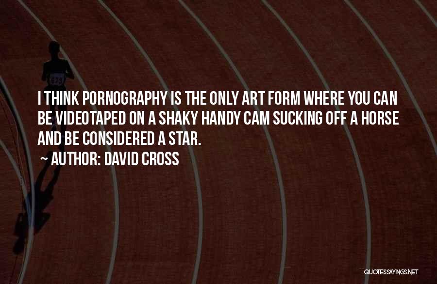 David Cross Quotes: I Think Pornography Is The Only Art Form Where You Can Be Videotaped On A Shaky Handy Cam Sucking Off