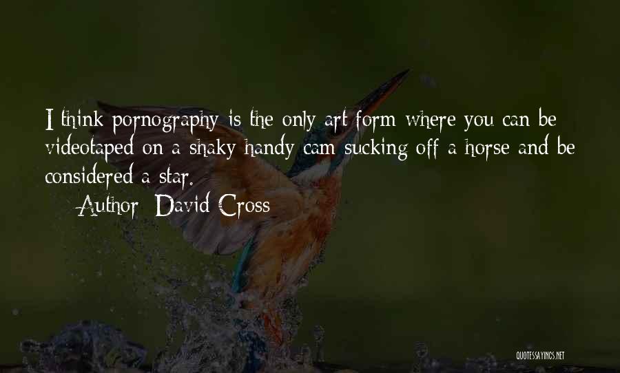 David Cross Quotes: I Think Pornography Is The Only Art Form Where You Can Be Videotaped On A Shaky Handy Cam Sucking Off