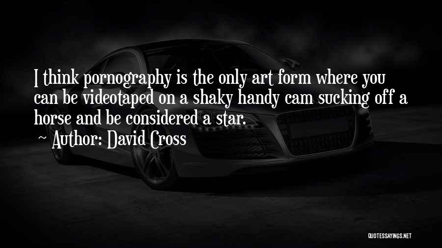 David Cross Quotes: I Think Pornography Is The Only Art Form Where You Can Be Videotaped On A Shaky Handy Cam Sucking Off