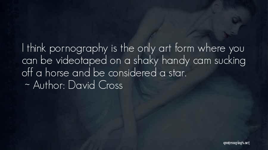 David Cross Quotes: I Think Pornography Is The Only Art Form Where You Can Be Videotaped On A Shaky Handy Cam Sucking Off