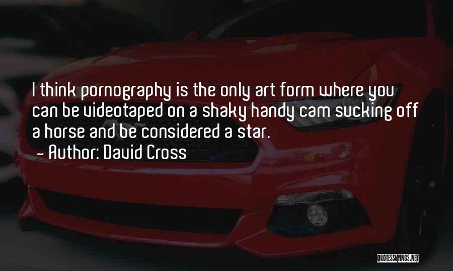 David Cross Quotes: I Think Pornography Is The Only Art Form Where You Can Be Videotaped On A Shaky Handy Cam Sucking Off