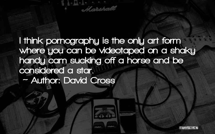 David Cross Quotes: I Think Pornography Is The Only Art Form Where You Can Be Videotaped On A Shaky Handy Cam Sucking Off