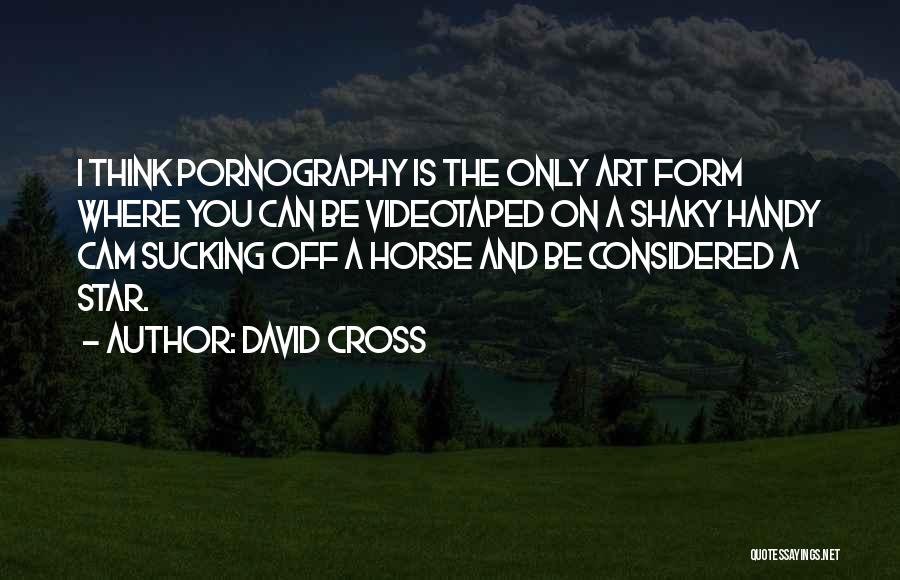 David Cross Quotes: I Think Pornography Is The Only Art Form Where You Can Be Videotaped On A Shaky Handy Cam Sucking Off
