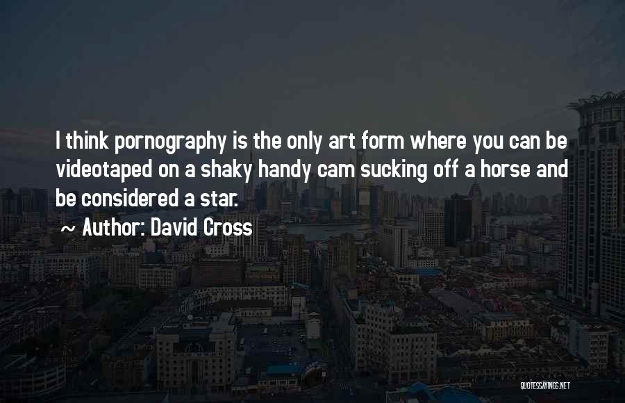 David Cross Quotes: I Think Pornography Is The Only Art Form Where You Can Be Videotaped On A Shaky Handy Cam Sucking Off